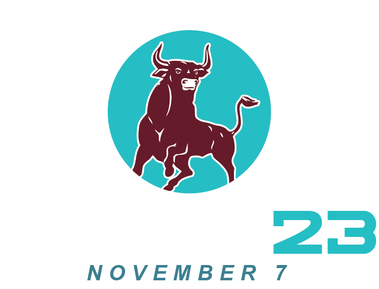 Bridgeport ISD Bond Logo 2023 with white text